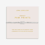 Joma jewellery silver plated stretch beaded bracelet with intertwined paw print charm presented on foil stamped sentiment card.