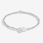 Joma jewellery silver plated stretch beaded bracelet with intertwined paw print charm presented on foil stamped sentiment card.
