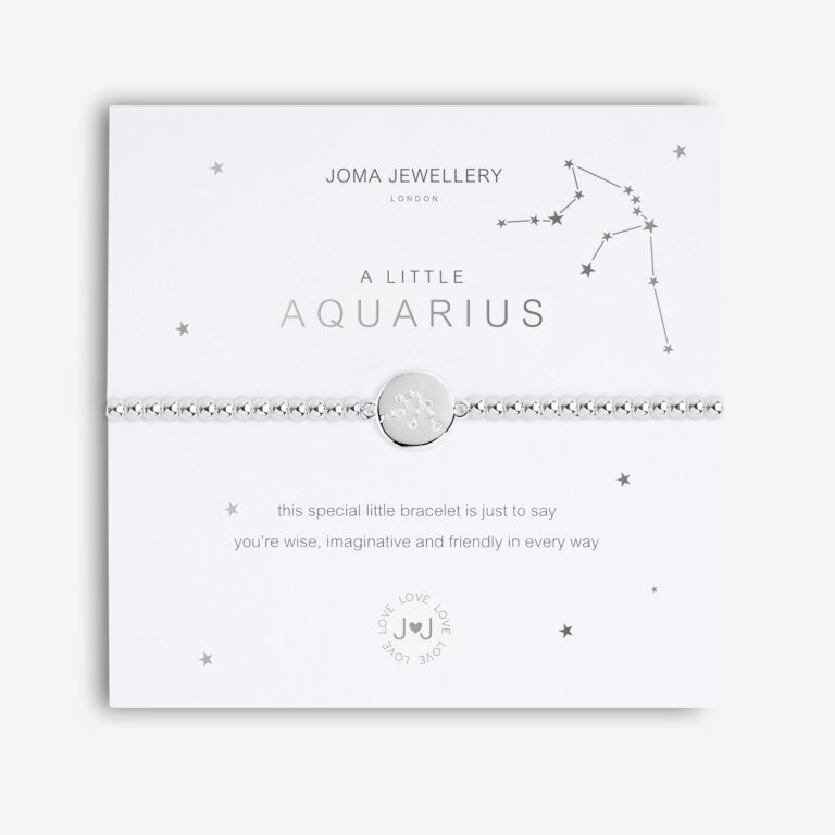Joma Jewellery 'a little' bracelet with pretty little charm, presented on a sentiment card which reads:  'This special little bracelet is just to say, you're wise, imaginative and friendly in every way'  Beautifully packaged in it's own Joma Jewellery envelope and gifting card.