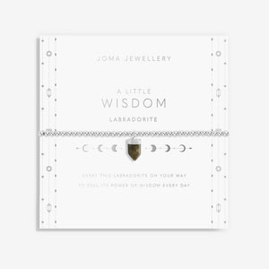 Joma Jewellery 'A Little' Wisdom - Labradorite