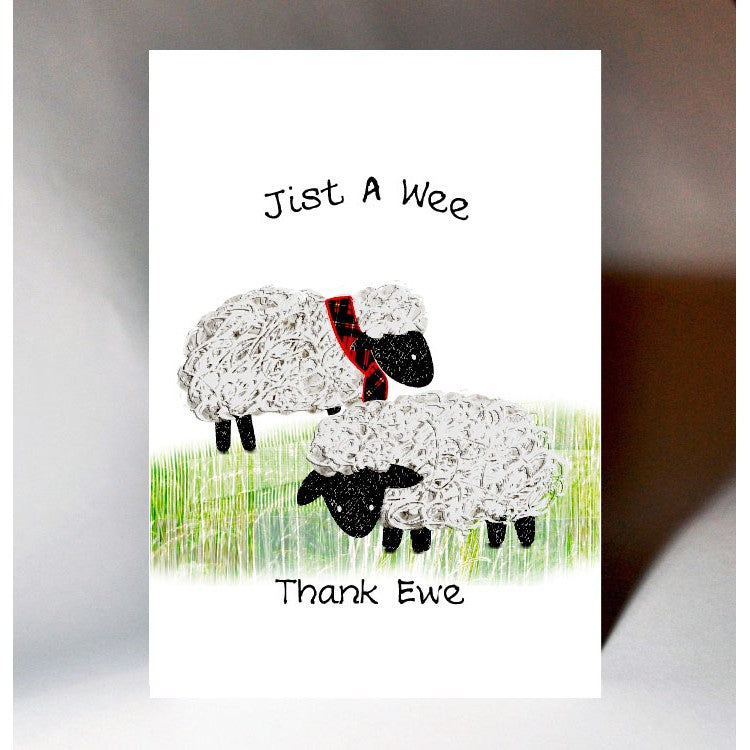 Scottish thank you card with sheep design which reads:  'Jist a wee thank ewe'